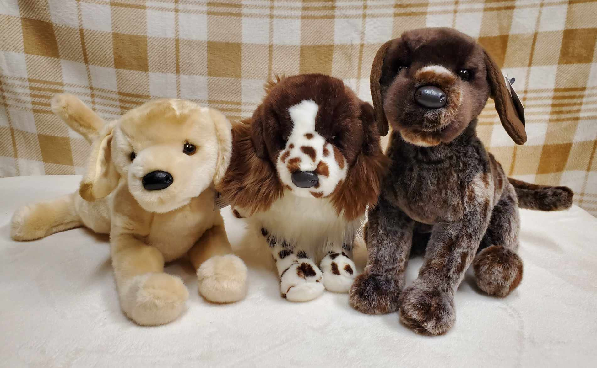 Lab, Springer and GSP plushy toys.